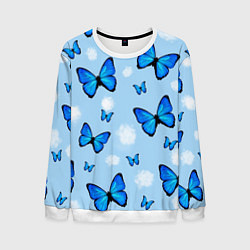 Свитшот мужской Бабочки Моргенштерна, цвет: 3D-белый