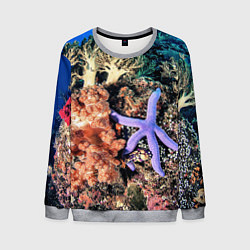 Свитшот мужской Коралловый риф, цвет: 3D-меланж