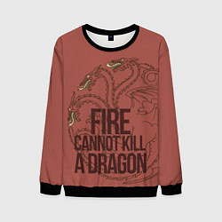 Мужской свитшот Fire Cannot Kill a Dragon