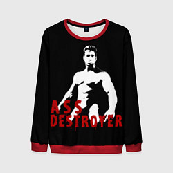Мужской свитшот ASS DESTROYER