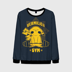 Свитшот мужской Vermilion gym, цвет: 3D-черный