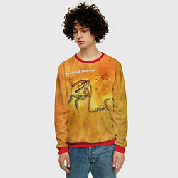 Свитшот мужской ЖЕЛЕЗНЫЕ МАНТРЫ Пикник, цвет: 3D-красный — фото 2