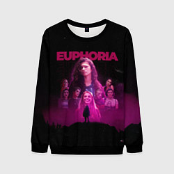 Мужской свитшот Euphoria team