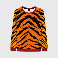 Свитшот мужской Шкура тигра, цвет: 3D-красный