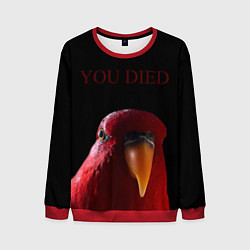 Мужской свитшот Красный попугай Red parrot