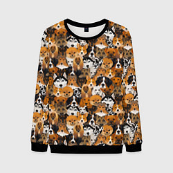 Свитшот мужской Разные Собаки, цвет: 3D-черный
