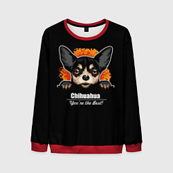 Мужской свитшот Чихуахуа Chihuahua