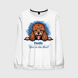 Свитшот мужской Собака Пудель Poodle, цвет: 3D-белый