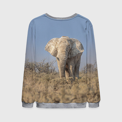 Мужской свитшот Африканский белый слон / 3D-Меланж – фото 2