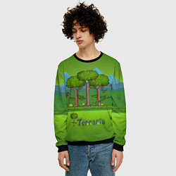 Свитшот мужской Лесок в Террарии, цвет: 3D-черный — фото 2