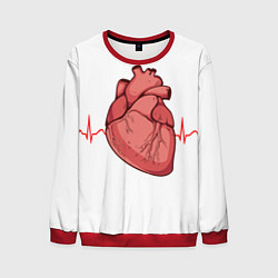 Свитшот мужской Анатомия сердца, цвет: 3D-красный