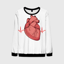 Мужской свитшот Анатомия сердца