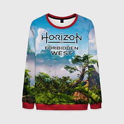 Мужской свитшот Horizon Forbidden West Хоризон Запретный Запад