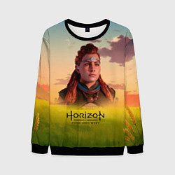 Свитшот мужской Horizon Forbidden West Aloy, цвет: 3D-черный