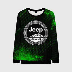 Свитшот мужской ДЖИП Краска, цвет: 3D-черный