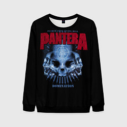 Мужской свитшот Pantera Domination