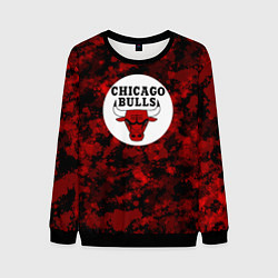 Свитшот мужской CHICAGO BULLS ЧИКАГО БУЛЛС NBA, цвет: 3D-черный