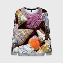 Свитшот мужской Композиция из океанских ракушек, цвет: 3D-меланж