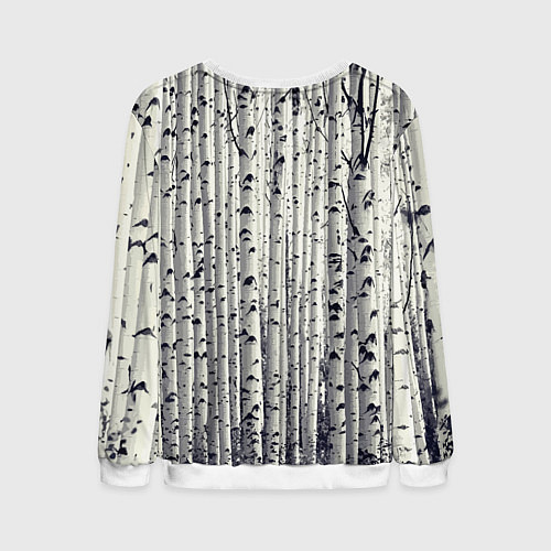 Мужской свитшот Русские берёзки - роща / 3D-Белый – фото 2