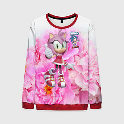 Свитшот мужской Sonic - Amy Rose - Video game, цвет: 3D-красный