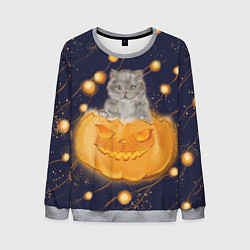 Свитшот мужской Котик в тыкве, хеллоуин, цвет: 3D-меланж