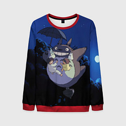 Мужской свитшот Night flight Totoro