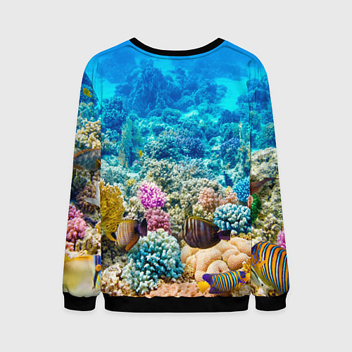 Мужской свитшот Дно морское / 3D-Черный – фото 2