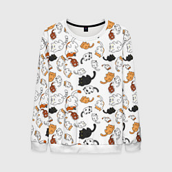 Свитшот мужской Вечеринка кошек, цвет: 3D-белый