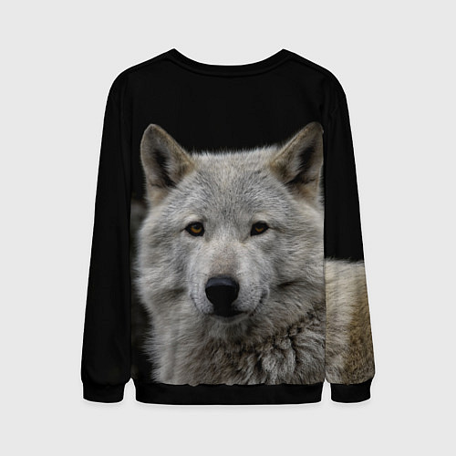 Мужской свитшот Серый волк на темном фоне / 3D-Черный – фото 2