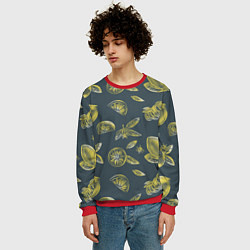 Свитшот мужской Лимоны в карандаше на сером фоне, цвет: 3D-красный — фото 2