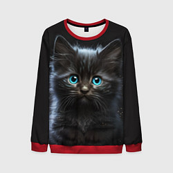 Мужской свитшот Голубоглазый котенок