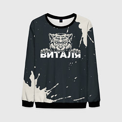Мужской свитшот Виталя зубастый волк