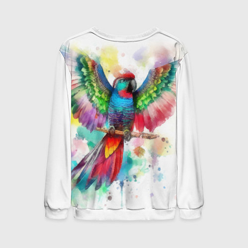 Мужской свитшот Разноцветный акварельный попугай с расправленными / 3D-Белый – фото 2