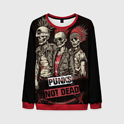 Мужской свитшот Punks not dead