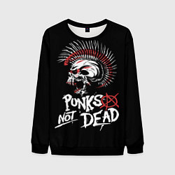 Мужской свитшот Punks not dead - анархия