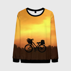 Свитшот мужской Велосипед на закате, цвет: 3D-черный