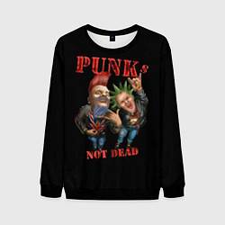 Свитшот мужской Punks Not Dead - панки хой, цвет: 3D-черный