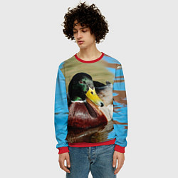 Свитшот мужской Утка Кряква - селезень, цвет: 3D-красный — фото 2