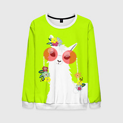 Мужской свитшот Лама - альпака в розовых очках