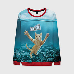 Свитшот мужской Nirvana Cat, цвет: 3D-красный