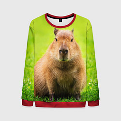 Свитшот мужской Capybara on green grass, цвет: 3D-красный