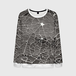 Свитшот мужской Паутина паука, цвет: 3D-белый