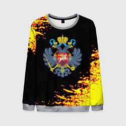 Свитшот мужской Герб краски россия, цвет: 3D-меланж