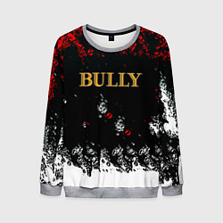 Мужской свитшот Bully краски