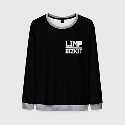 Свитшот мужской Lim Bizkit logo, цвет: 3D-меланж