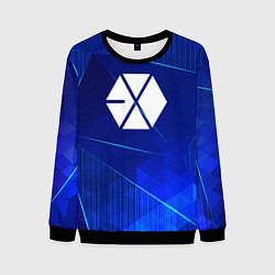 Мужской свитшот Exo blue poly