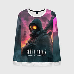 Мужской свитшот Stalker 2 радиоактивный фон