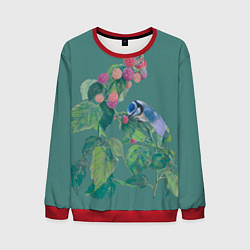 Мужской свитшот Малина и синичка