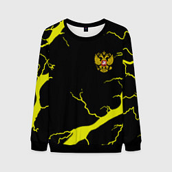 Свитшот мужской Россия шторм герб, цвет: 3D-черный