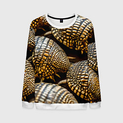 Мужской свитшот Панцири броненосцев